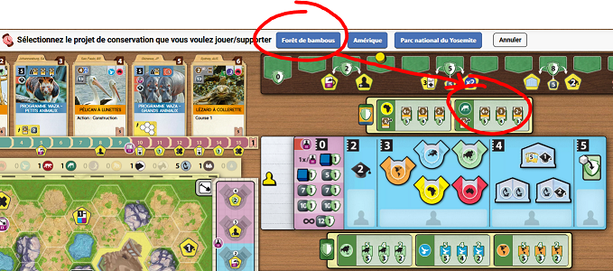 Bug Ark Nova.PNG