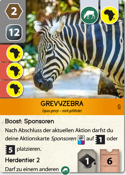 Grevyzebra.jpg