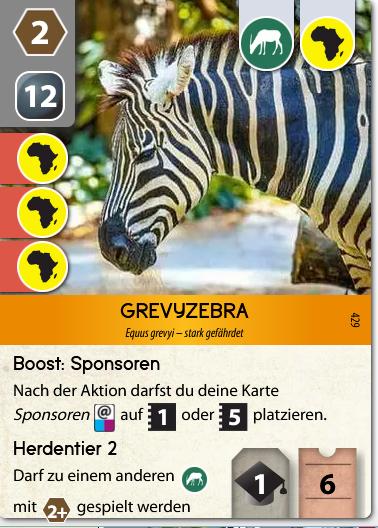 Grevyzebra2.jpg