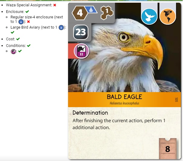 Bald Eagle.jpg