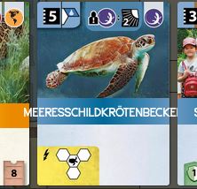 ArcheNovaMeeresschildkrötenbecken.JPG