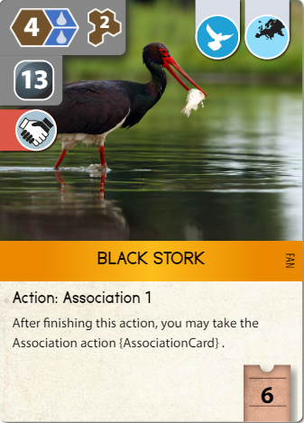 Black Stork.png